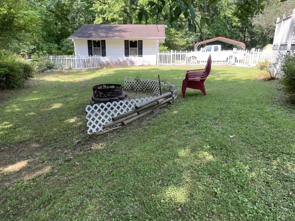 Slide of Hidden Green Leaves