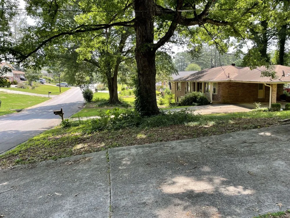 Slide of Hidden Green Leaves