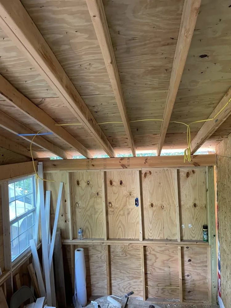 Slide of Hidden Green Leaves