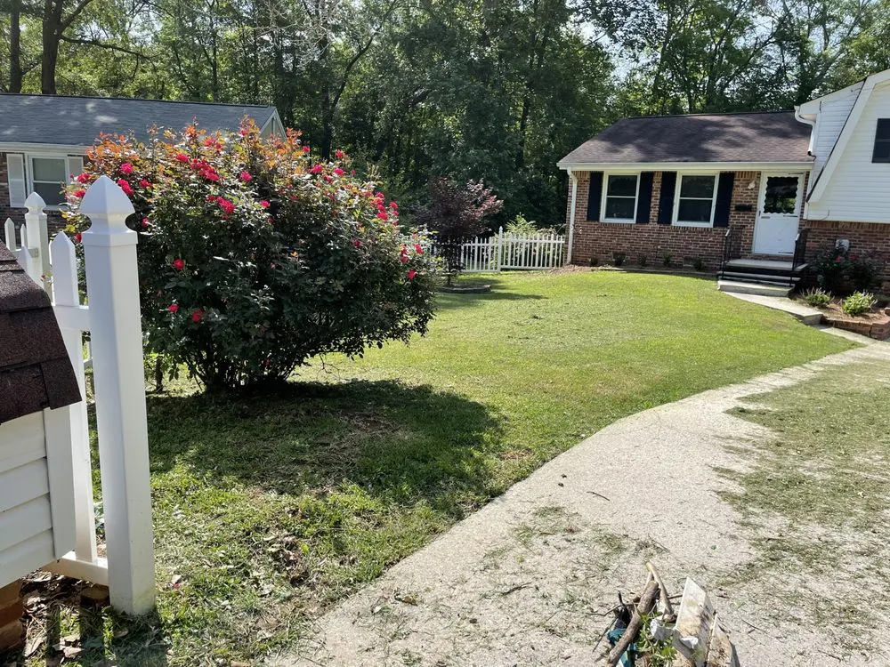 Slide of Hidden Green Leaves
