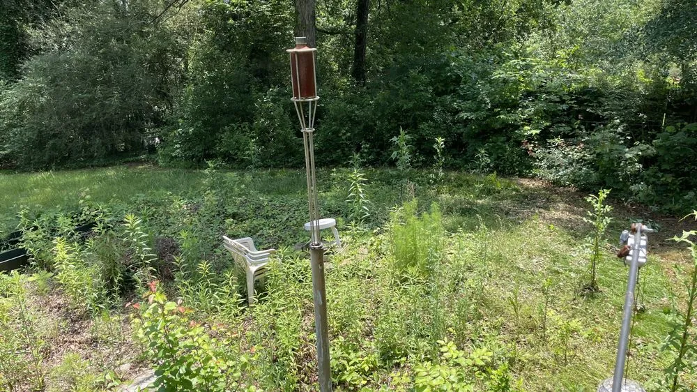 Licensed lighting installation experts serving ,  - Hidden Green Leaves