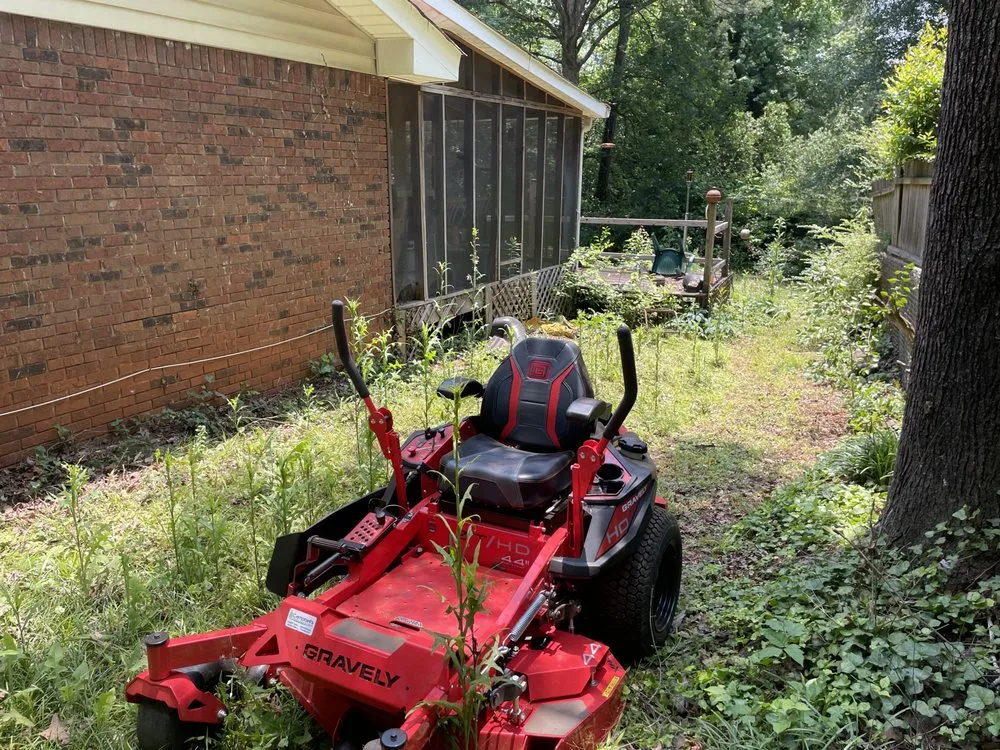 Slide of Hidden Green Leaves