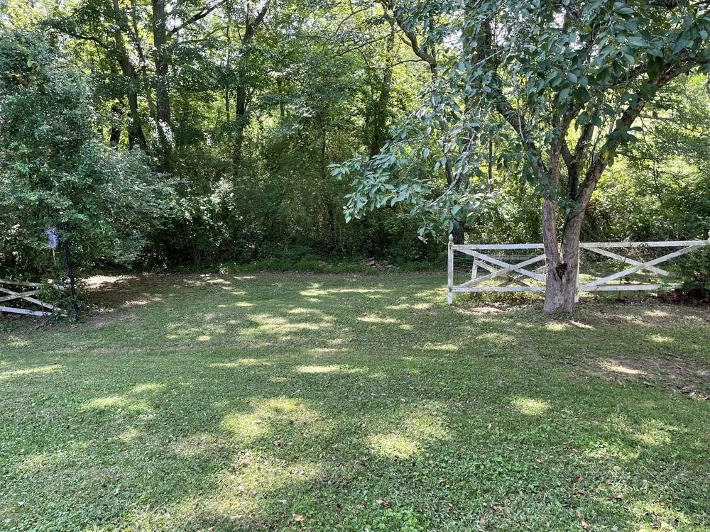 Slide of Hidden Green Leaves