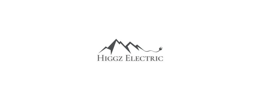 Slide of Higgz Electric