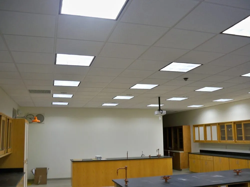 Slide of High Wire Electric