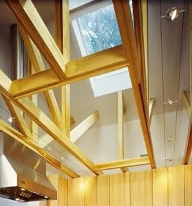 Slide of High Wire Electric