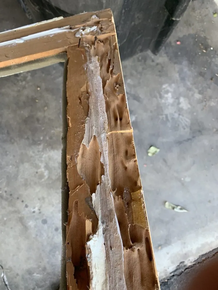 Slide of Higher Level Handyman Services