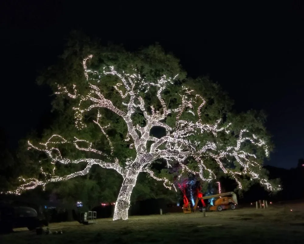 Certified electrician providing panel upgrade in ,