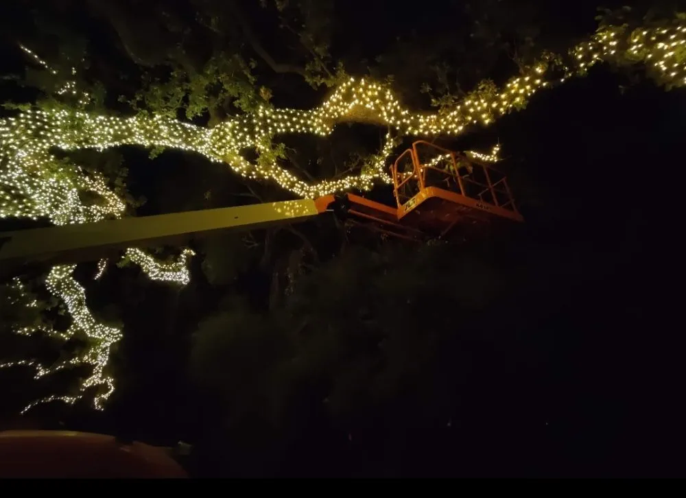 Expert electrical repair experts serving , - Higher Powered Electrical And Construction