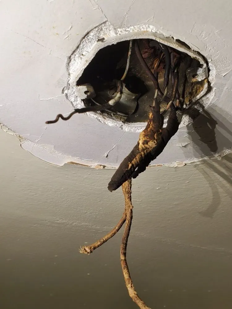 Certified circuit breaker repair service in , - Higher Powered Electrical And Construction