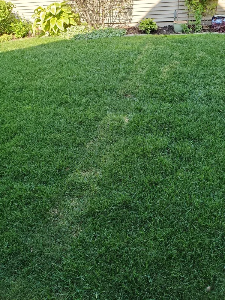 Slide of Highlights Chicago