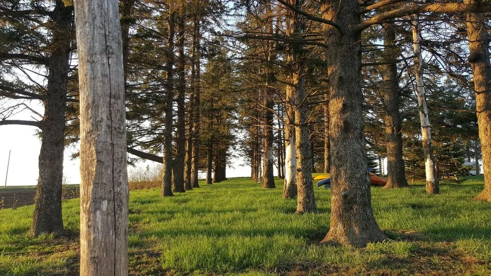 Slide of Hillcrest Farm Handyman Services