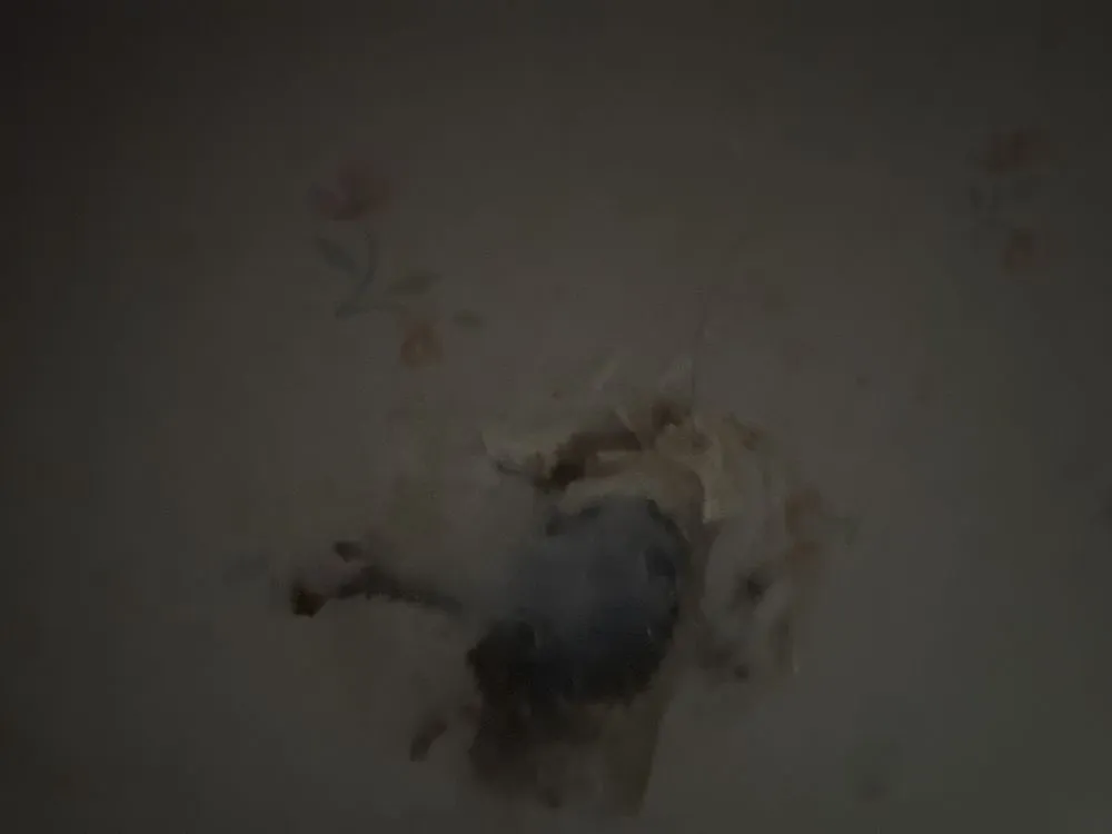 Emergency electrician providing circuit breaker repair in , 