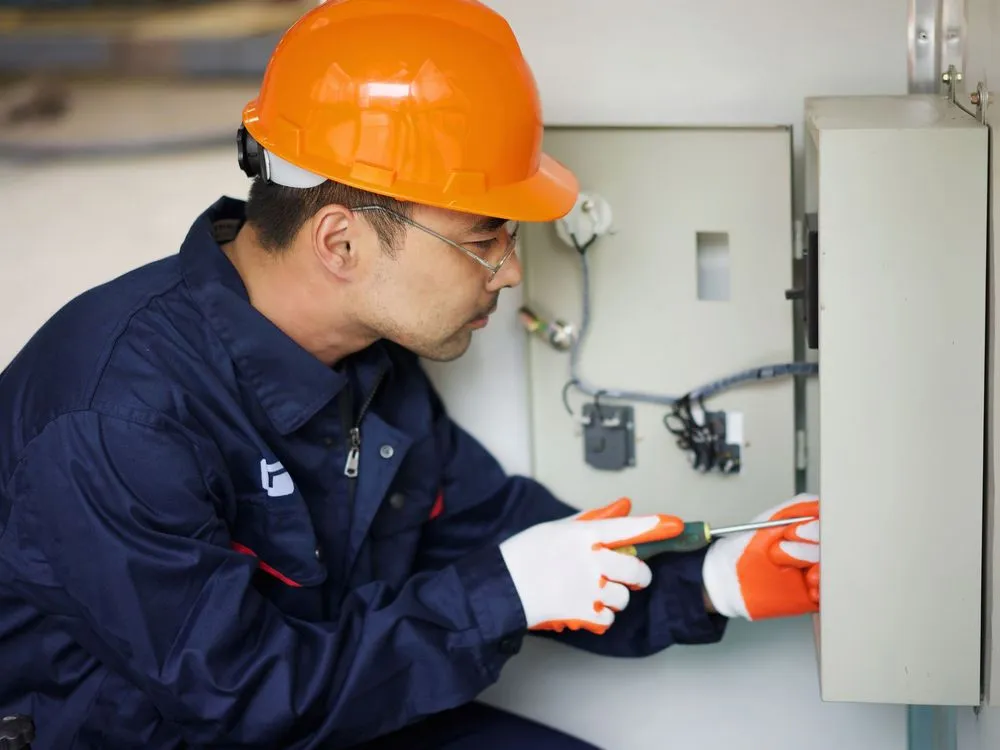 Slide of Hiloma Electri