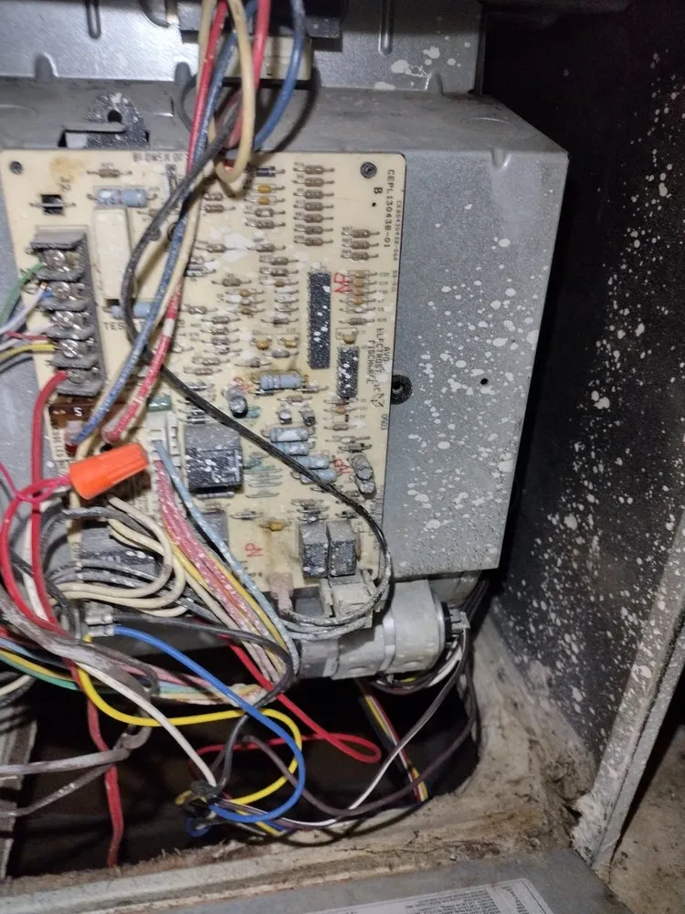 Slide of Him services electric and more handy