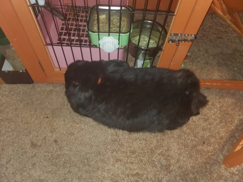 Professional circuit breaker repair service in ,  - Hirano Krellcom Technical Consulting