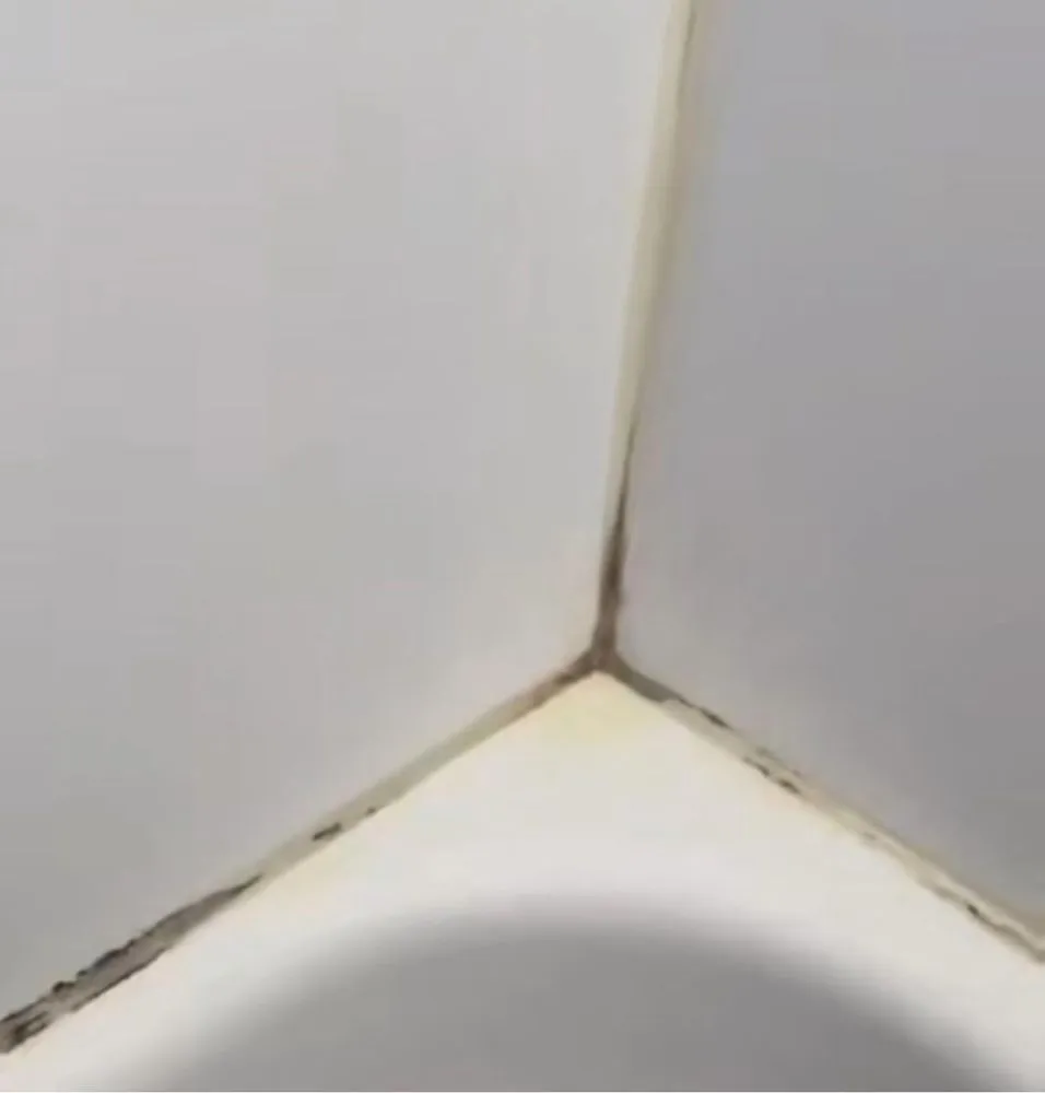 Slide of H.L.B handymen