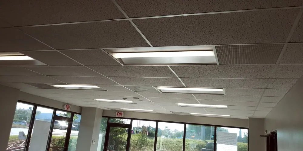 Slide of Hm Ingenius