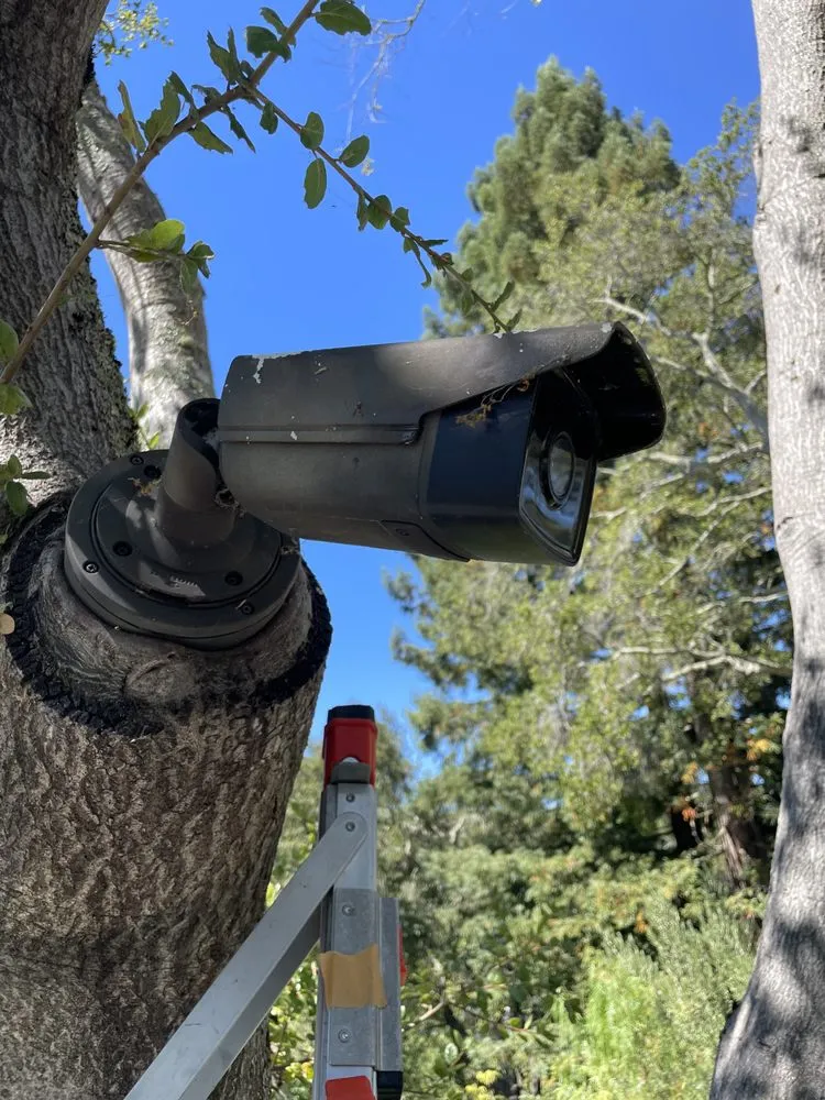 Reliable emergency electrical service in ,  by Holland Electric