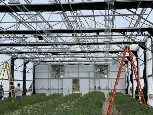 Holloway Technical Services