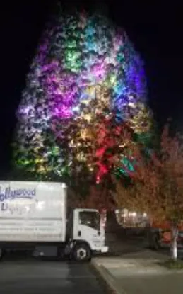 Slide of Hollywood Lights