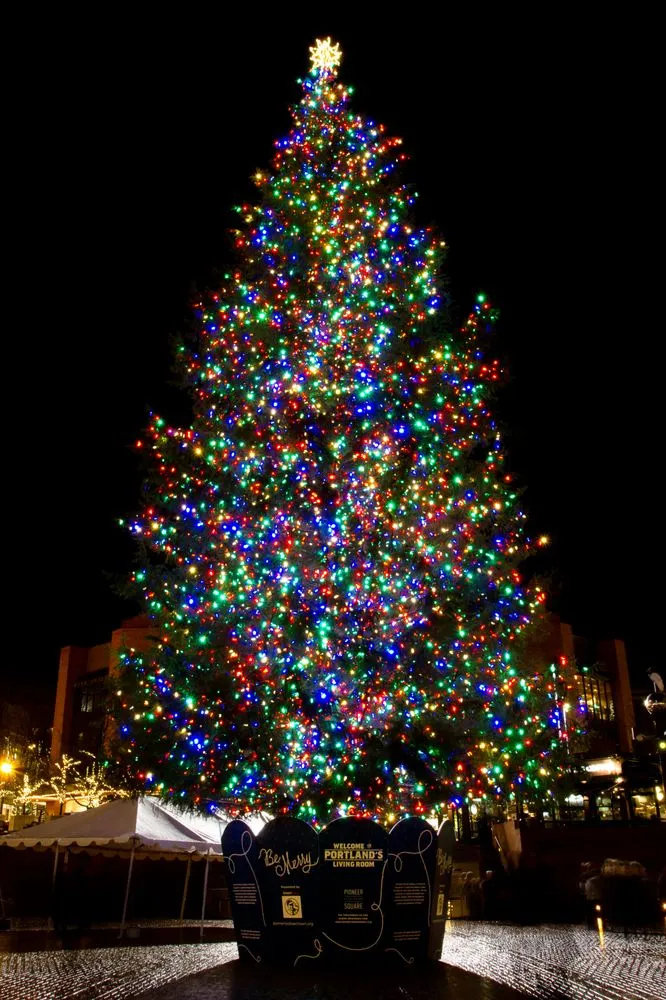 Slide of Hollywood Lights