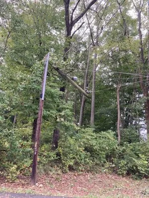 Holston Electric Cooperative Inc Logo