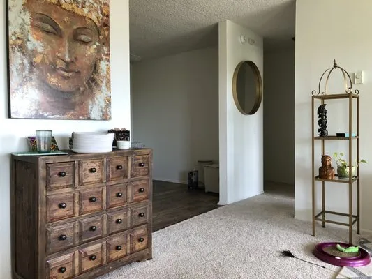 Home Handyman Solutions Logo