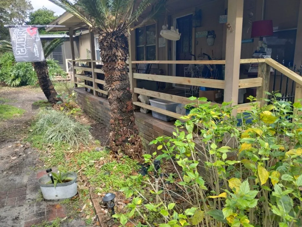 Slide of Home Improvement By Bear