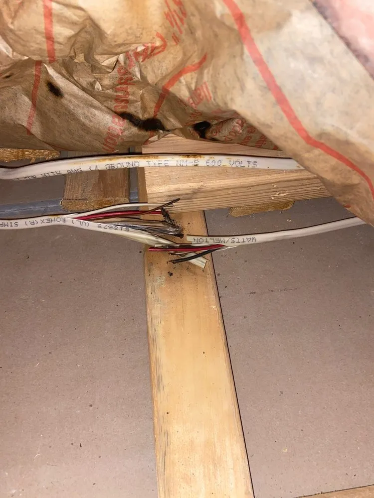 Slide of HomeLight Boston