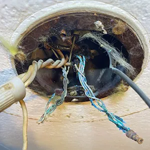 Slide of Homewize Electric