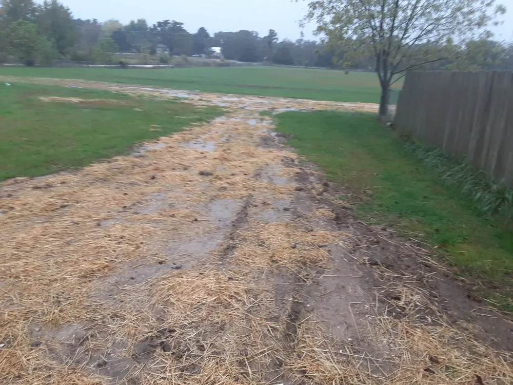 Slide of Honest Abe's Home Services