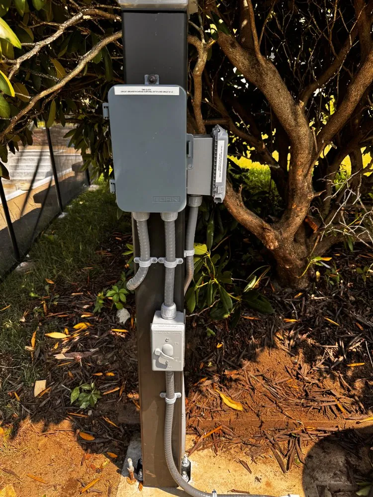 Slide of Honey Bee Electric