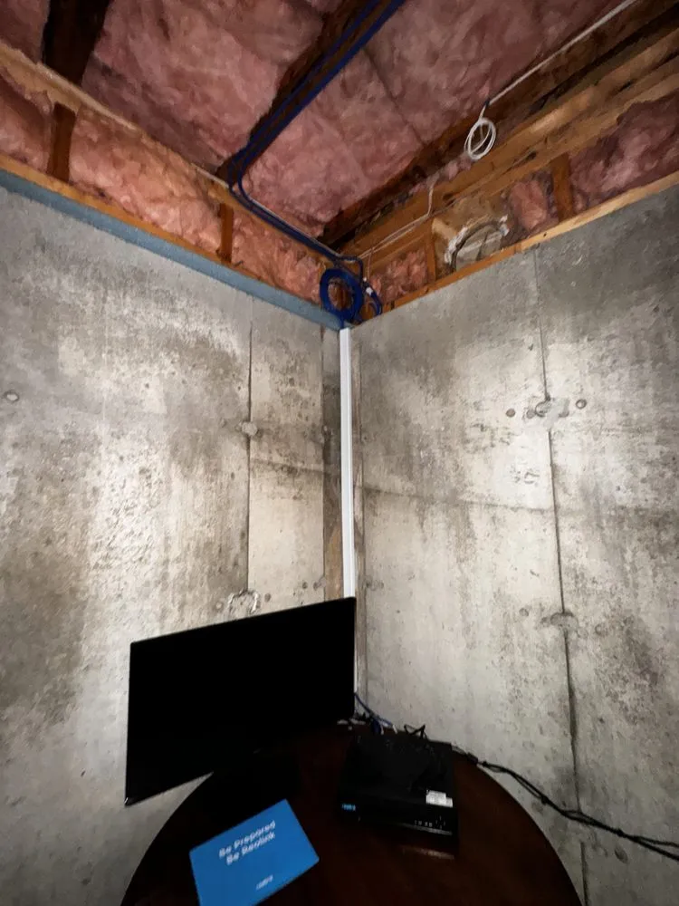 Slide of Honey Bee Electric