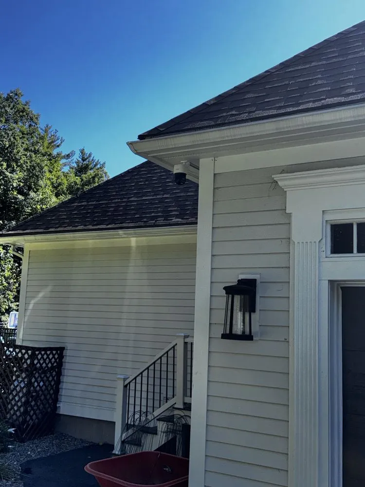 Slide of Honey Bee Electric