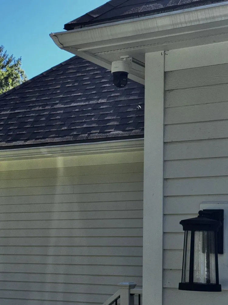 Slide of Honey Bee Electric