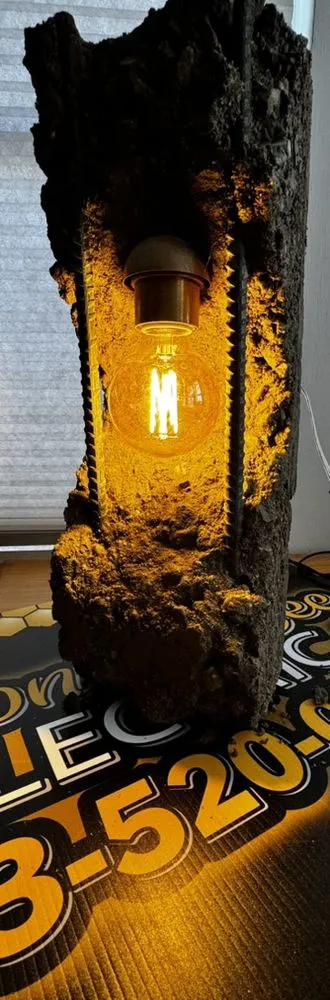 Slide of Honey Bee Electric