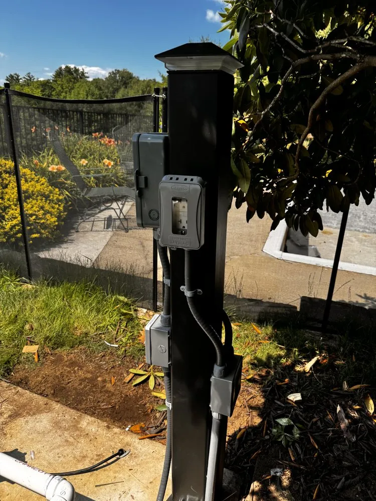 Slide of Honey Bee Electric