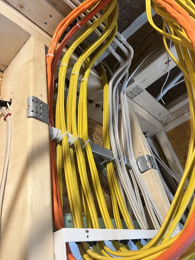 Slide of Honey Bee Electric