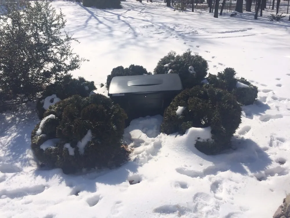 Slide of Honey Corporation