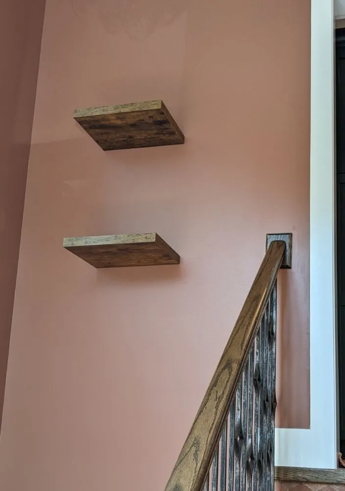 Slide of Honey Dos Done Right