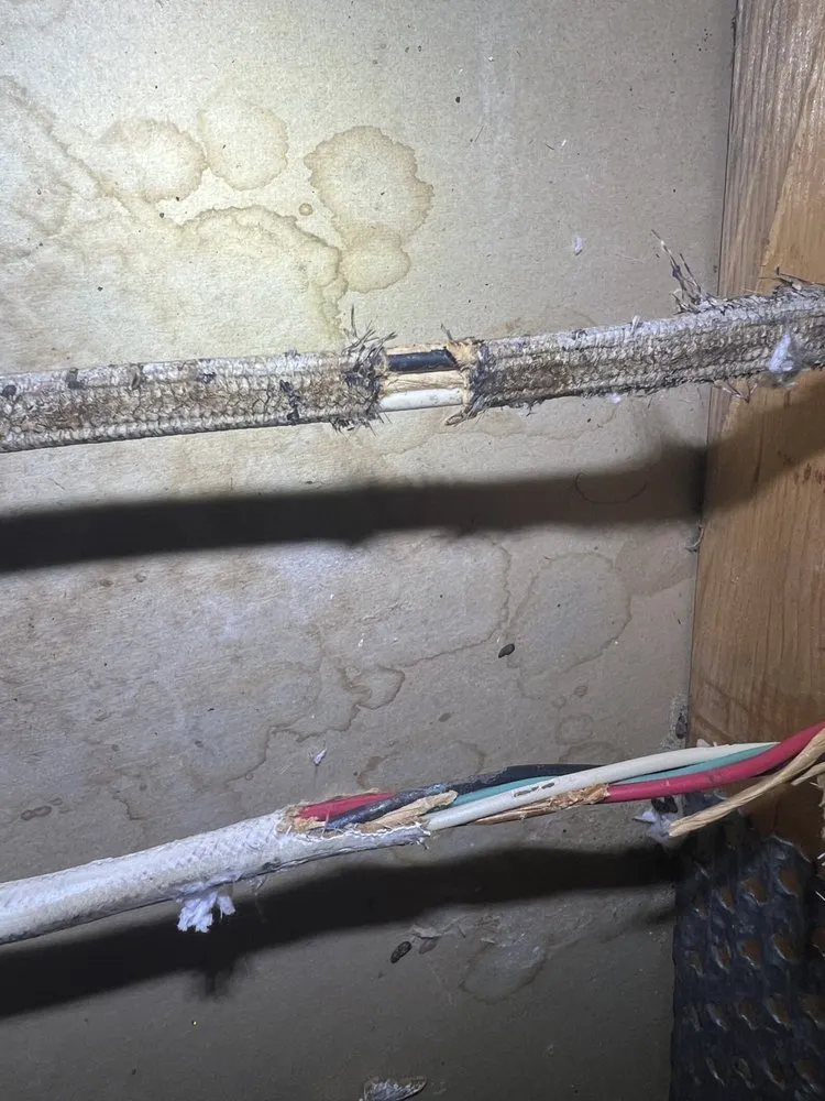 Reliable panel upgrade in ,  by Horizon Electric