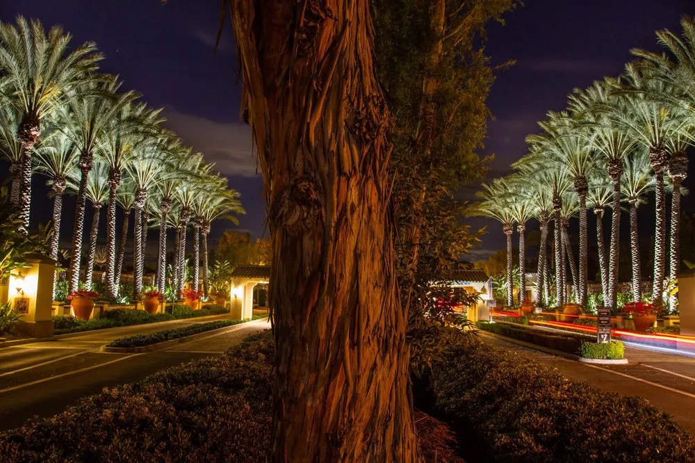 Slide of Horizon Lighting