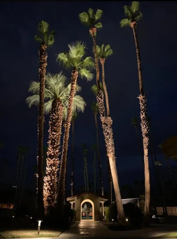 Slide of Horizon Lighting