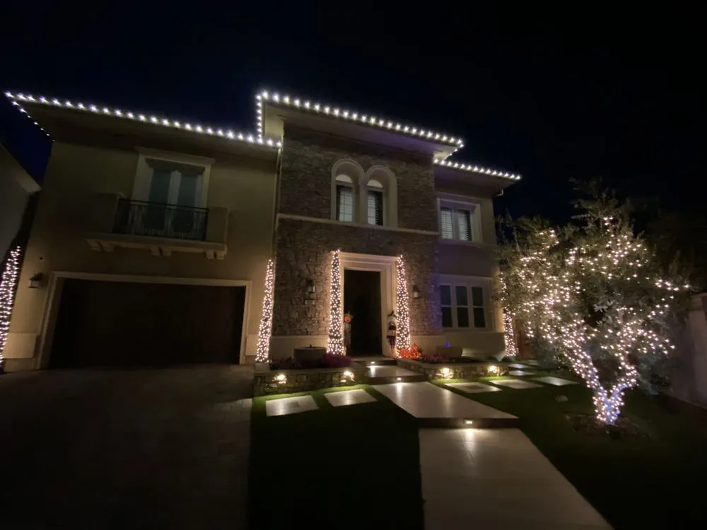 Slide of Hornet Electric