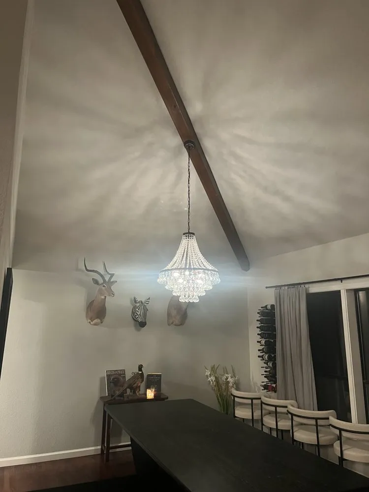 Slide of Hornet Electric