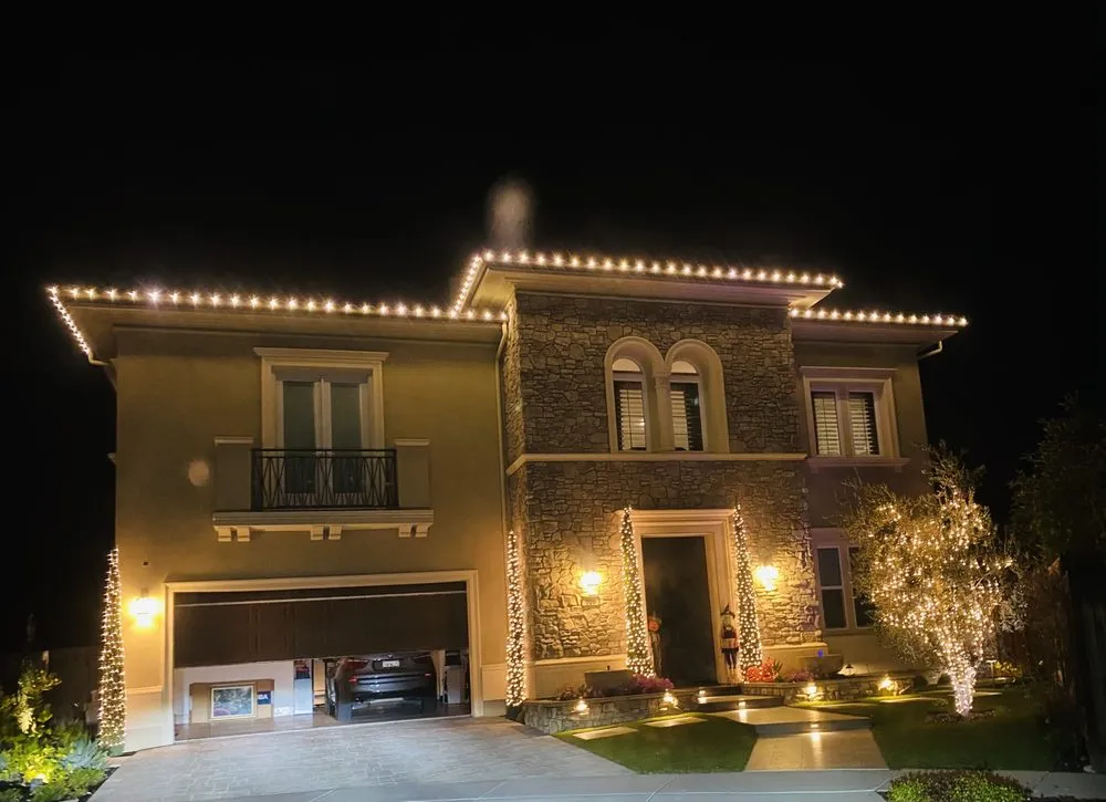 Slide of Hornet Electric