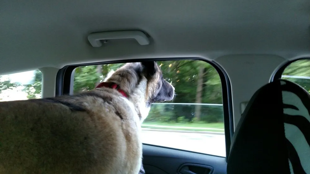 Trusted electrician providing lighting installation in , 