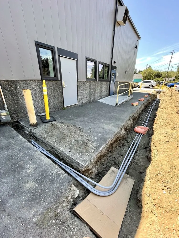 Professional electrical service for homes in emergency electrical service, by