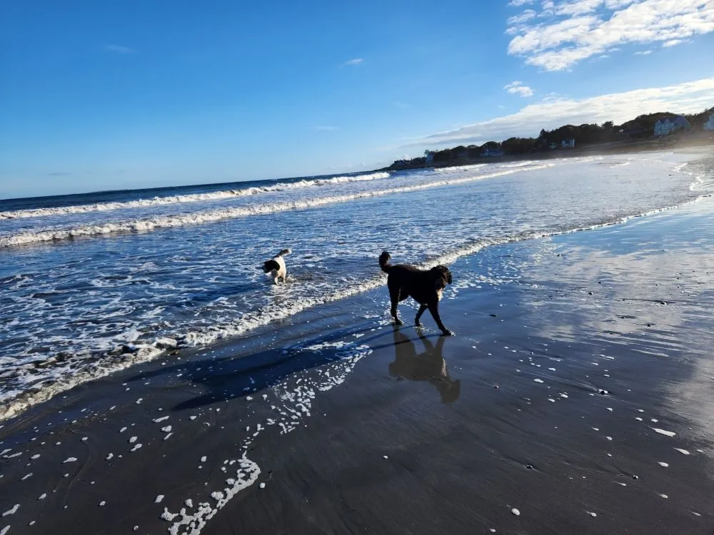 Slide of Houle Electric